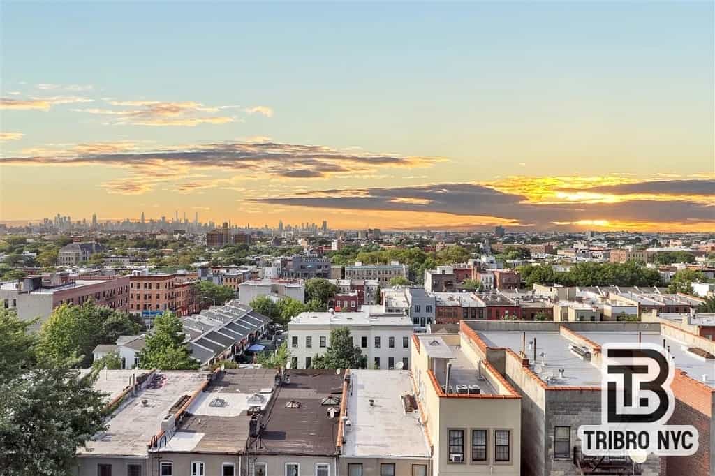 15 Somers Street #2F, Brooklyn, NY 11233 3