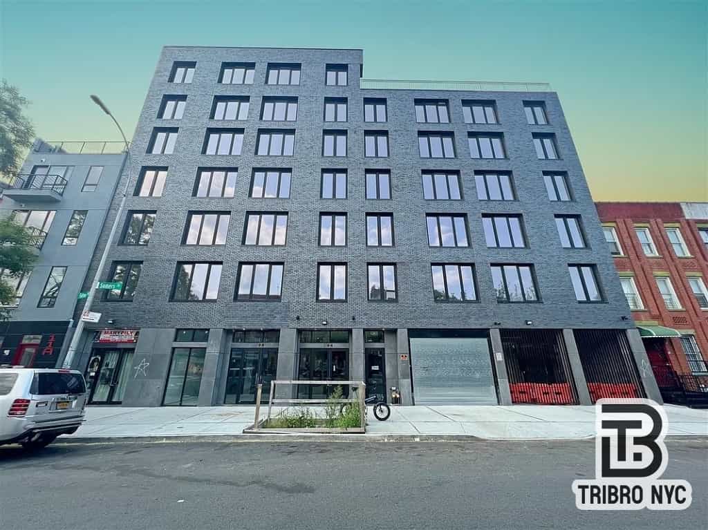 15 Somers Street #2F, Brooklyn, NY 11233 4