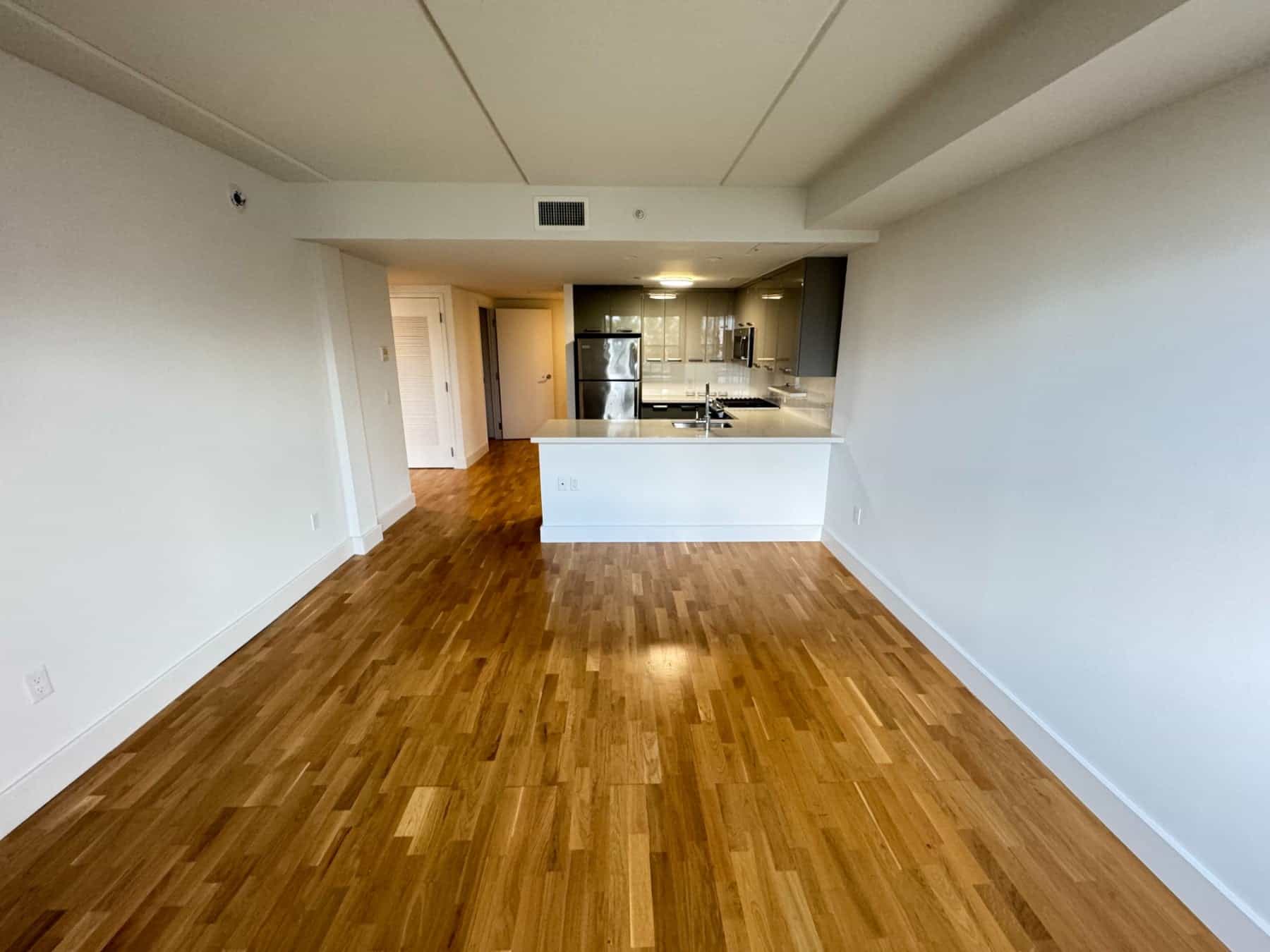 310 Clarkson Avenue #302, Brooklyn, NY 11226 3