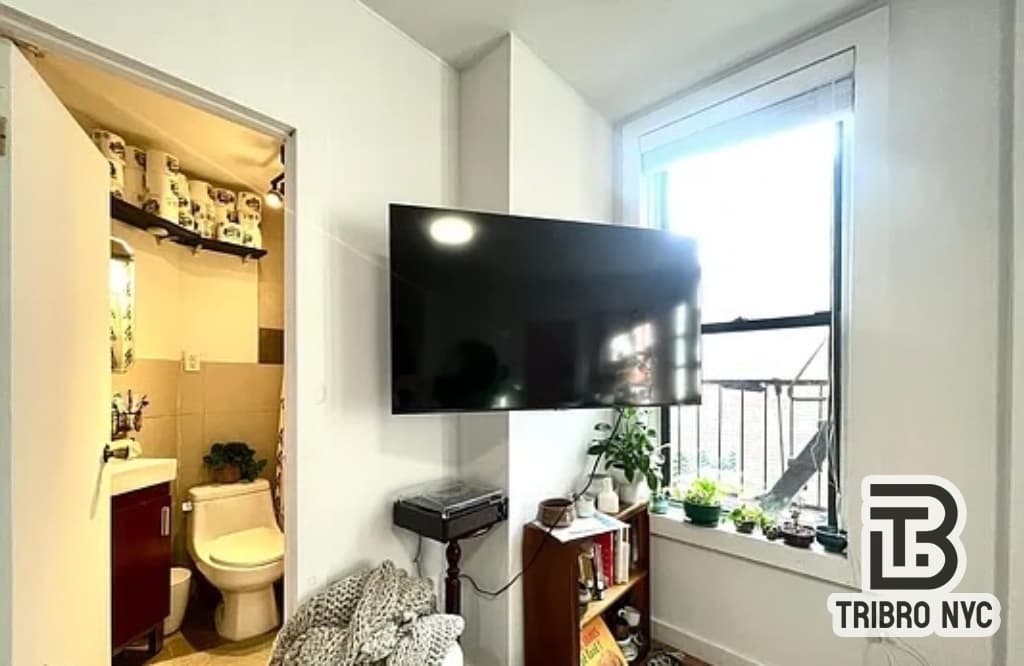 160 Havemeyer Street #33, Brooklyn, NY 11211 - Image 5