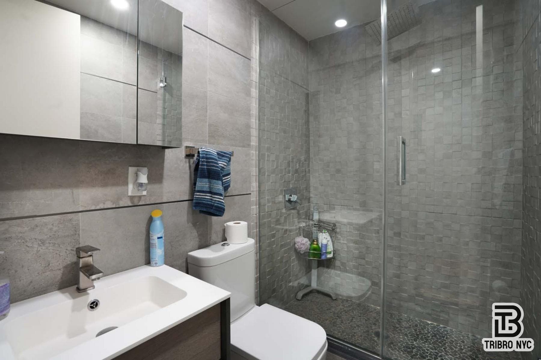 141 Meserole Avenue #3A, Brooklyn, NY 11222 15