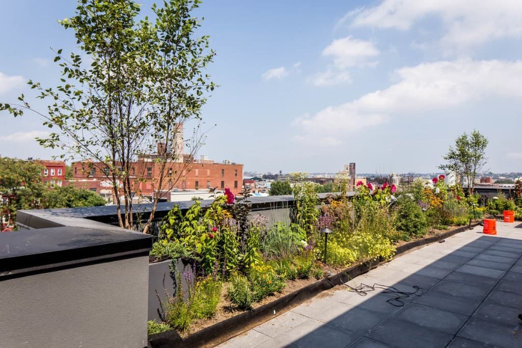 246 Johnson Avenue #4B, Brooklyn, NY 11206 6