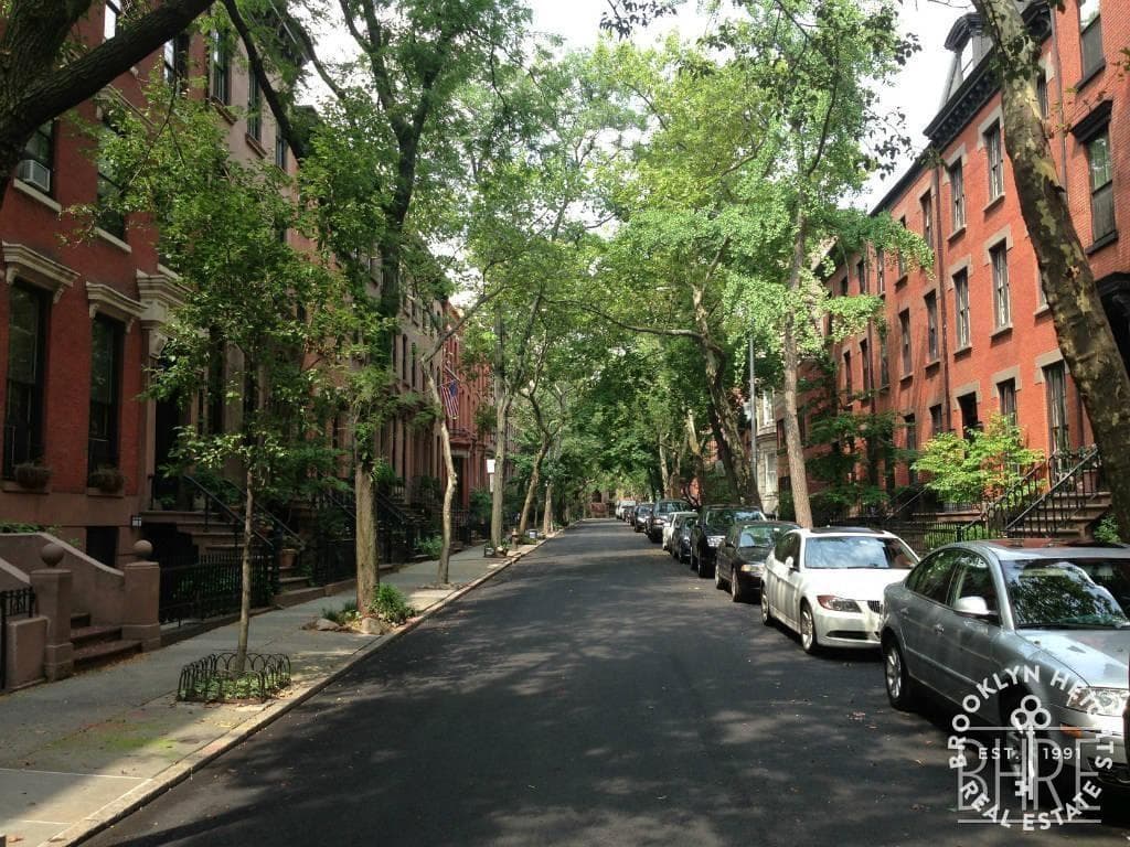 8 Garden Place #1, Brooklyn, NY 11201 9