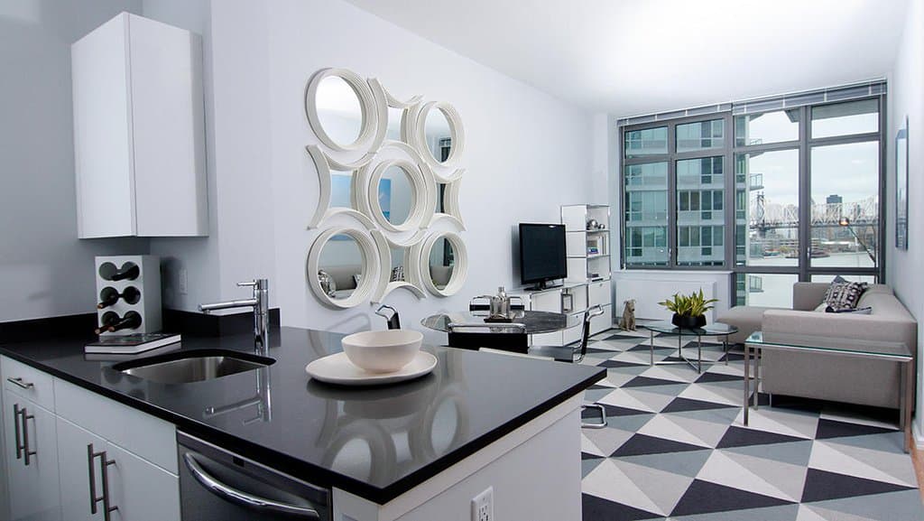 46-10 Center Boulevard #2217, Queens, NY 11101 8