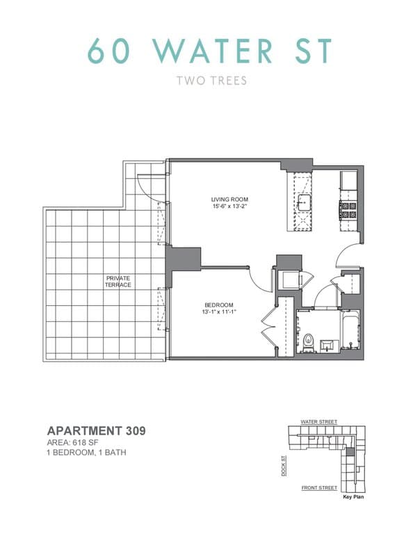60 Water Street #309, Brooklyn, NY 11201 - Image 1
