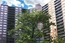 104-40 Queens Boulevard #07N, Queens, NY 11375 1