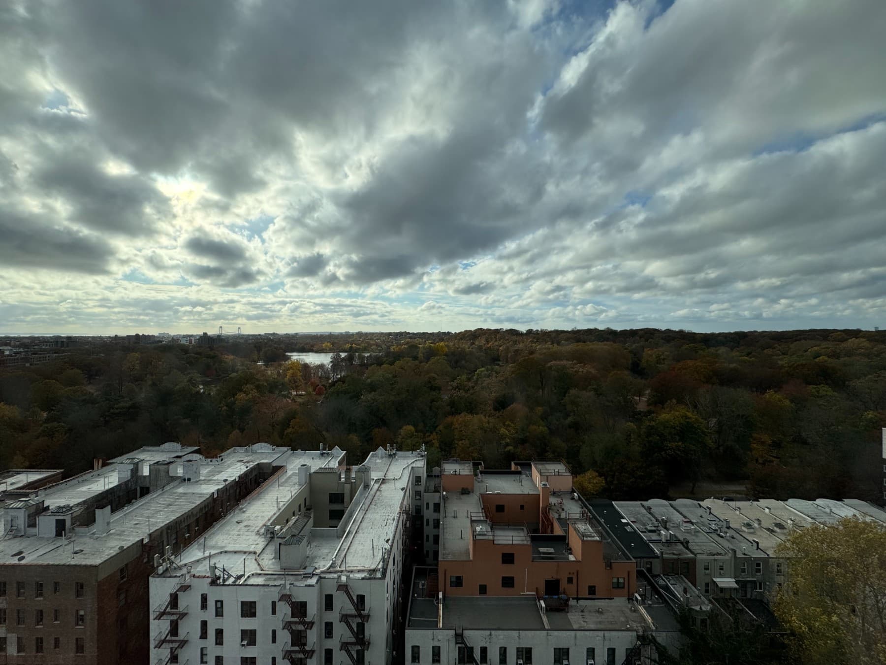 626 Flatbush Avenue #17E, Brooklyn, NY 11225 - Image 10