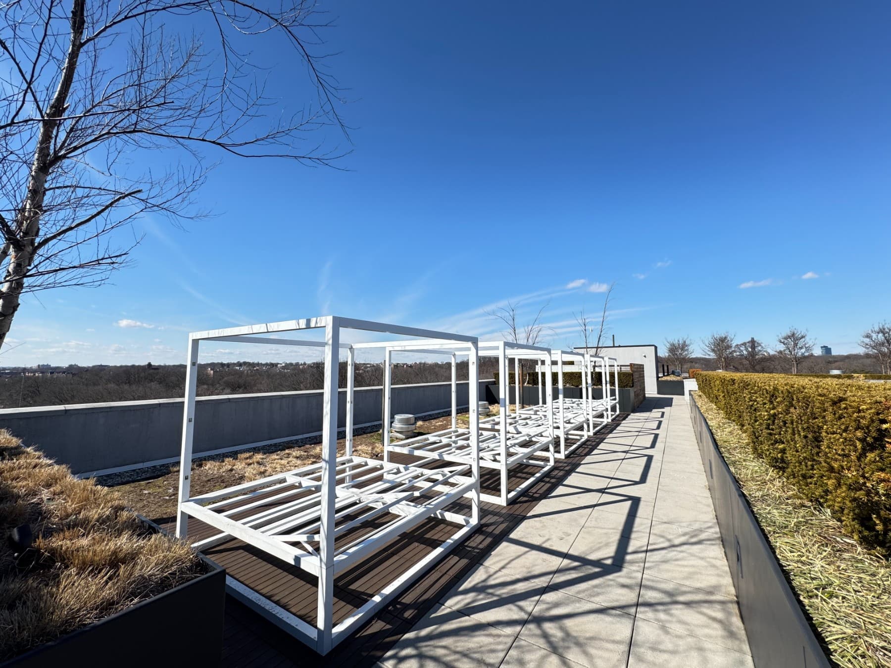 10 St Pauls Place #6C, Brooklyn, NY 11226 14