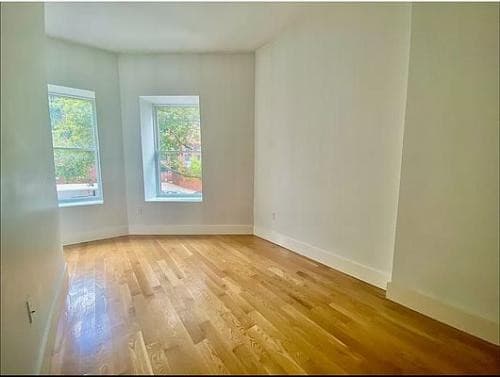 125 Lefferts Place #3, Brooklyn, NY 11238 4