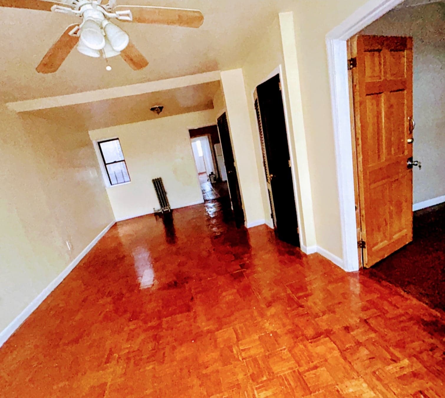 560 Euclid Avenue #2, Brooklyn, NY 11208 - Image 1