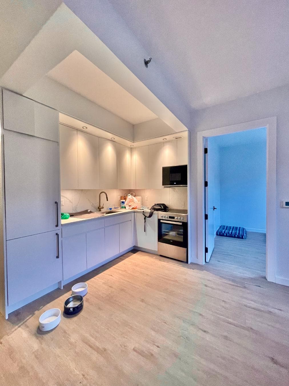 101 Bruckner Boulevard #2D, Bronx, NY 10454 1