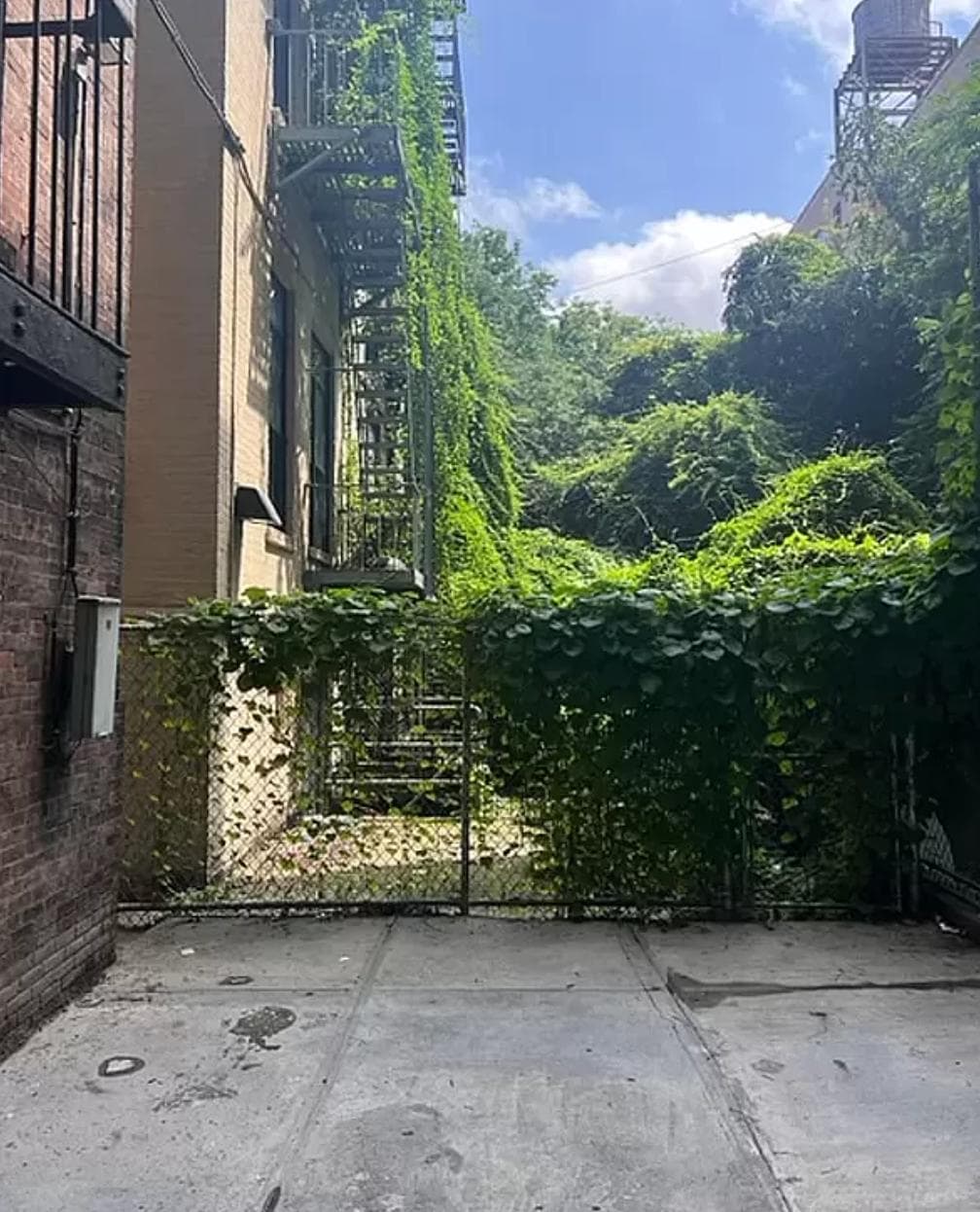 312 East 116 Street #G1A, Manhattan, NY 10029 15