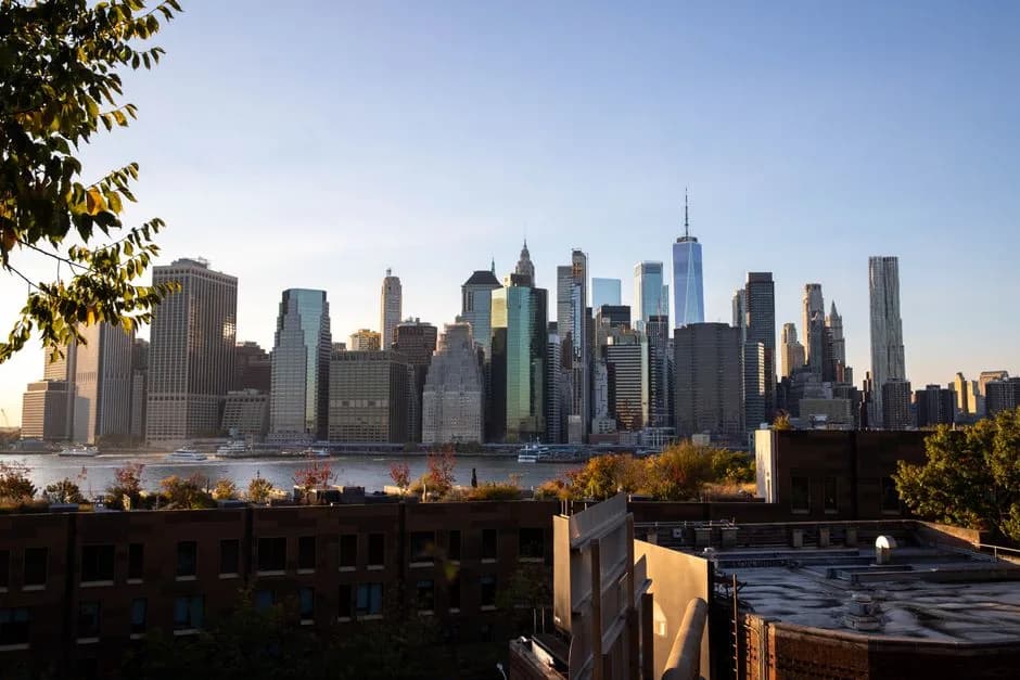 Renting in Bedford-Stuyvesant: what to expect — Types of buildings and housing stock