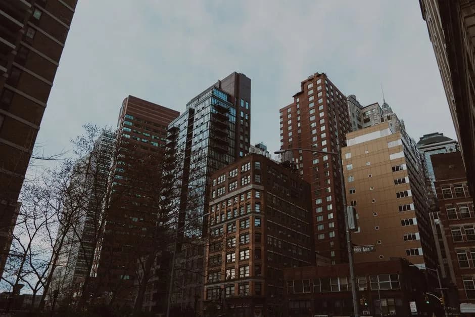Top 10 highest-rated buildings in Prospect Lefferts Gardens
